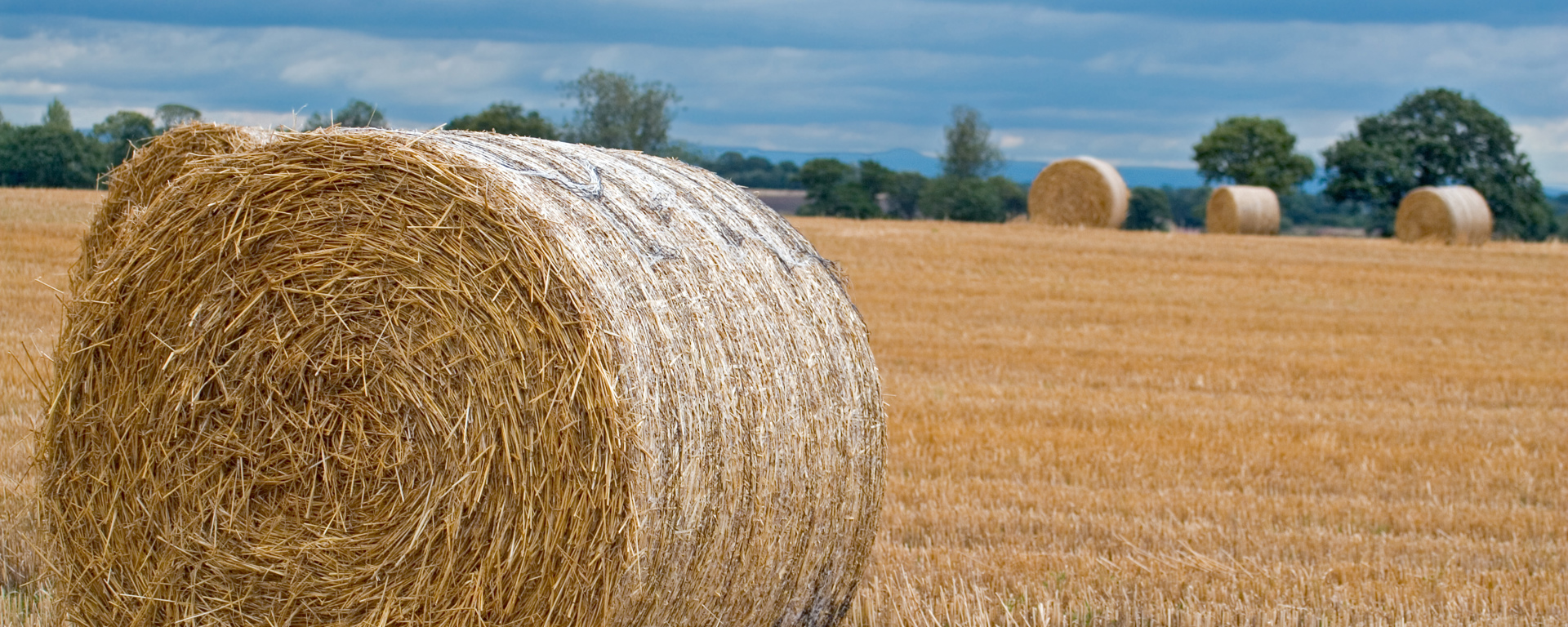 Straw Bale